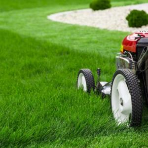 Ogden Grass Cutting