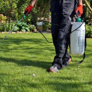 Ogden Lawn Treatment
